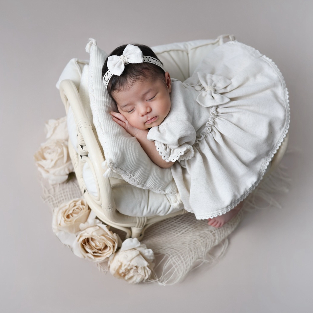 Alat Peraga Fotografi Bayi Bar - Photography Cheat Sheet ulasan dan harga
